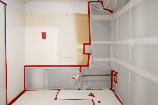 Best Air Quality Testing for Mold Spores  in Woodville, AL