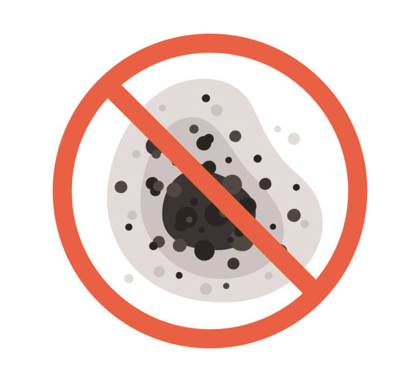 Best Airborne Mold Testing  in Woodville, AL
