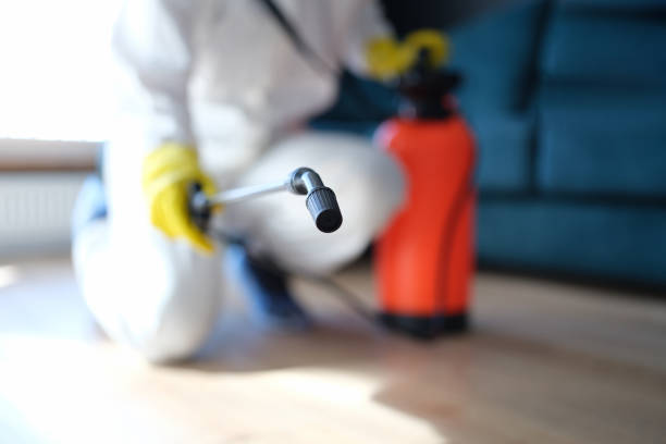 Best Biohazard Mold Removal  in Woodville, AL