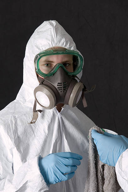 Best Mold Prevention Services  in Woodville, AL